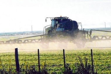 Las fumigaciones los ponen verdes