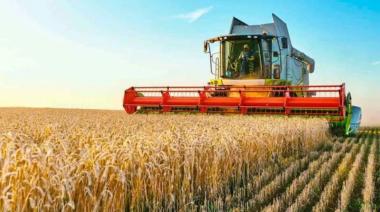 Cautela en el campo, se sembrará la misma superficie de trigo que en el 2023
