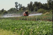 Pergamino: Condenaron a productores agrarios por contaminación