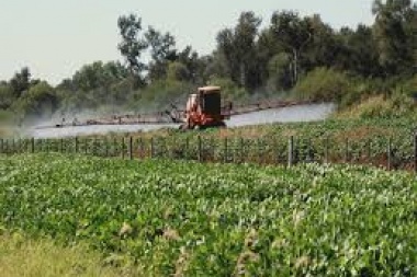 Pergamino: Condenaron a productores agrarios por contaminación