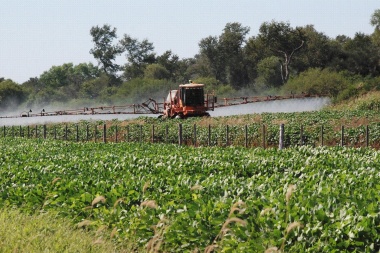 Abuso de agroquímicos: por nuestras “calles saludables” avanza el glifosato