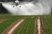 Agroquímicos: las  deudas son de  nosotros, los negocios  son ajenos