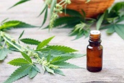 Chacabuco: buscan  que el municipio  habilite el cultivo de  cannabis medicinal