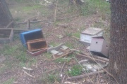 La municipalidad destruyó “por error” las colmenas de la cooperativa de apicultores