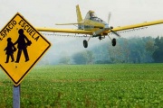 En territorio bonaerense se  podrá fumigar con agrotóxicos  junto a escuelas rurales