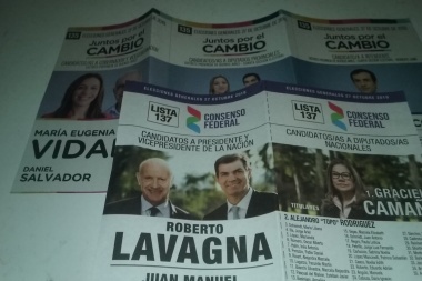 Petrecca también distribuye boletas acompañando a Lavagna