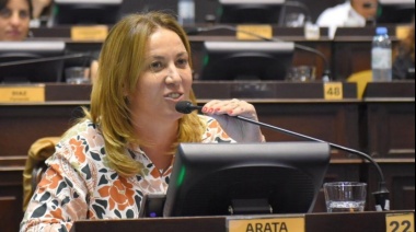 Arata celebró la aprobación de la Ley de Alivio Fiscal