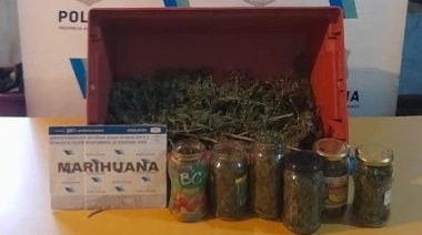 Secuestran 300 gramos de marihuana