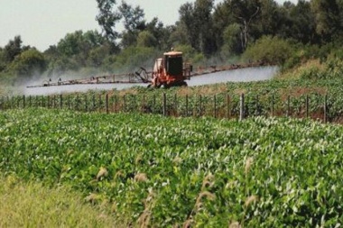 Stop fumigaciones: el municipio deberá controlar