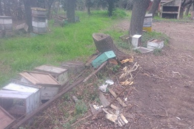 La municipalidad destruyó “por error” las colmenas de la cooperativa de apicultores