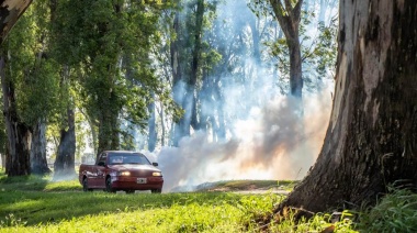 Piden saber qué hará el municipio ante la invasión de mosquitos