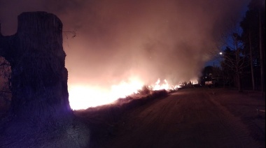 Quema de pastizales: los bomberos llevan 350 intervenciones este año