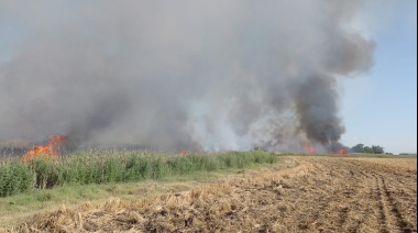 Intenso trabajo de bomberos por incendio de pastizales