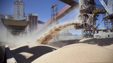 Suspenden exportaciones de harina y aceite de soja y se espera una suba de retenciones