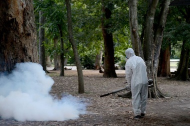 El brote de dengue ya suma 2206 casos en territorio bonaerense