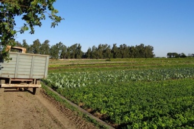 Cinturones verdes en Junín, una idea para ir ampliando