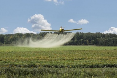 Agrotóxicos: Ampliarían las zonas con prohibición de fumigaciones y aumentarían las multas