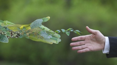 Ley Yolanda: educando al funcionario
