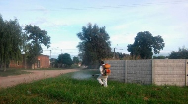 Dengue: tras el brote, llaman a profundizar las medidas contra el mosquito