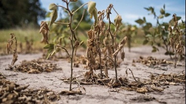 Avanza la sequía, pero no las medidas ante el cambio climático