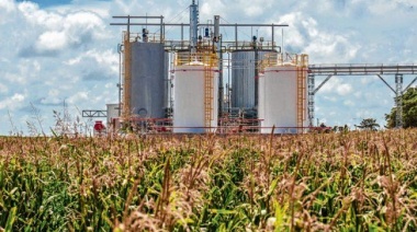Biocombustibles: un debate con tantos negocios como interrogantes