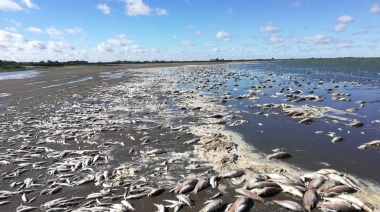 Masiva mortandad de peces en el Parque Natural Laguna de Gómez