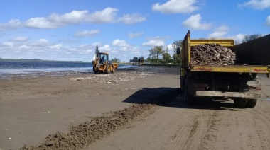 Masiva mortandad de peces en el Parque Natural Laguna de Gómez