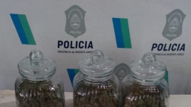 Importante secuestro de medio kilo de flores de marihuana