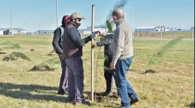 Nuevas obras en el Parque industrial de Pehuajó