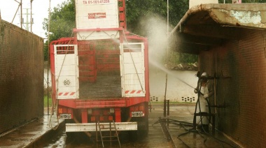 Transportistas: SENASA advirtió sobre la limpieza de camiones de hacienda