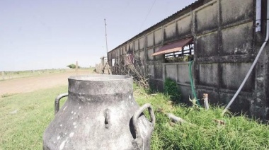 Lechería: un debate que no se da y requiere de urgencias