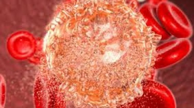 Día mundial de la leucemia mieloide crónica: la enfermedad sin síntomas visibles