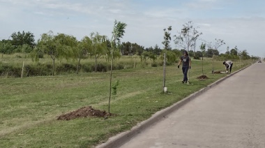 Operativo de forestación en el parque San Martín y en la avenida Lavardén