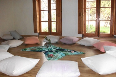 Biodanza, un sistema de reeducación de la afectividad a través del vínculo