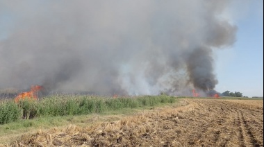 Intenso trabajo de bomberos por incendio de pastizales