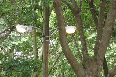 Por las venas del PNLG: un recorrido por la desidia, el relajo y la falta de servicios