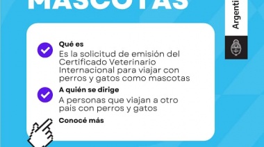 Cómo obtener el Certificado Veterinario Internacional para viajar con perros y gatos