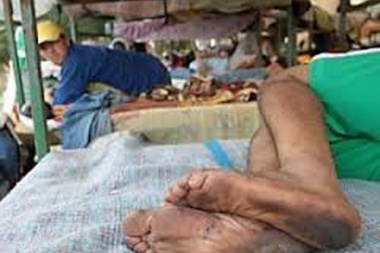 Obreros rurales denuncian condiciones extremas de trabajo en Junín, Rojas y Pergamino
