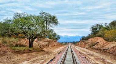 Trenes Argentinos: otros números, y otra historia
