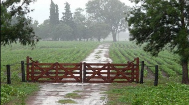 Las lluvias frenaron el deterioro de los cultivos