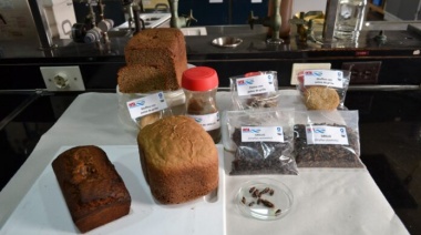 Investigadores del INTA y el INTI elaboraron alimentos utilizando polvo de grillos