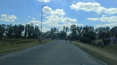 Desde el FdT le reclamaron a Petrecca por los animales sueltos en las calles de Junín