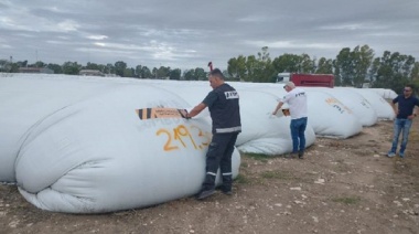 Saavedra: por "irregularidades", incautaron 270 toneladas de maíz