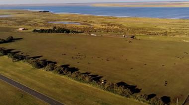 Con “pasafaunas” y miradores, licitaron la nueva autovía de la Ruta 11 entre Villa Gesell y Mar Chiquita
