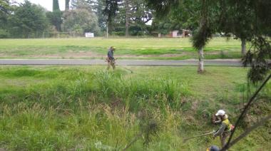 Tras reunión con SENASA, el Municipio comenzará a fumigar