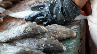 La Semana Santa 'pinta con poco pescado'
