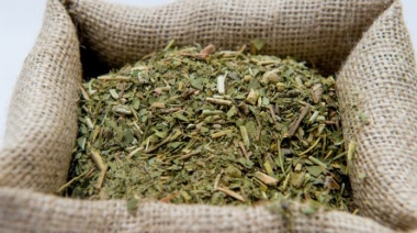 El Gobierno concretó la desregulación del precio de la yerba