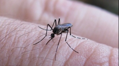 Pese a la baja de los casos, aún hay circulación del virus en Junín y varios municipios