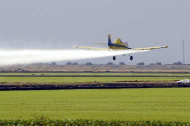 Los cuadernos del glifosato