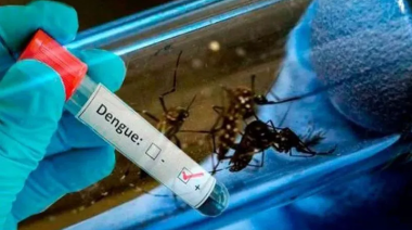 Pese al frío, el virus del Dengue circula en la región sanitaria de Junín y otros municipios bonaerenses
